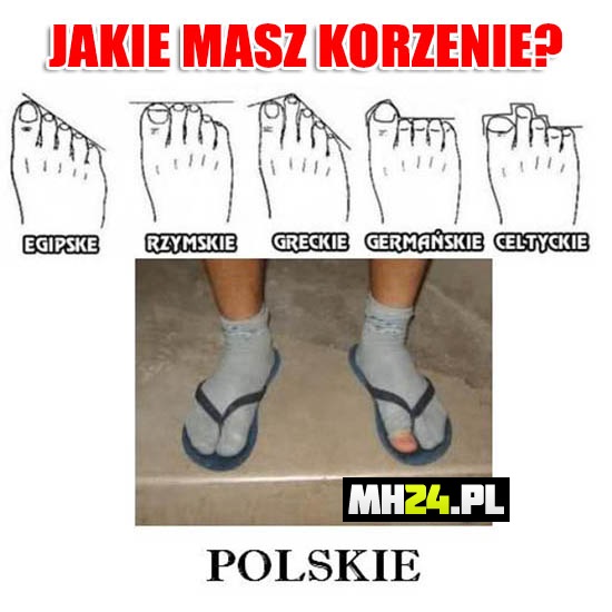 Polskie korzenie rozpoznasz od razu Obrazki   
