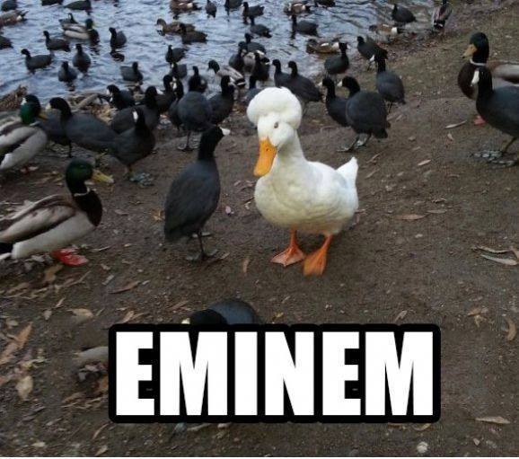 Eminem Obrazki   