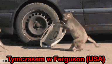 Tymczasem w Ferguson GIFy Motoryzacja   