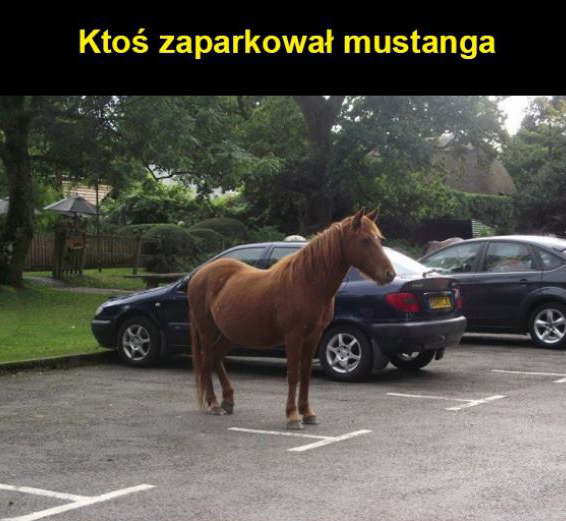 Zaparkowany Mustang