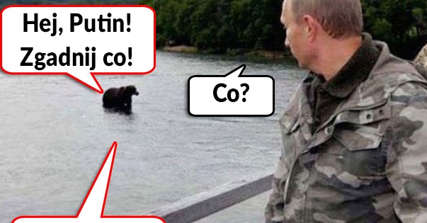Putin vs niedźwiedź Obrazki   