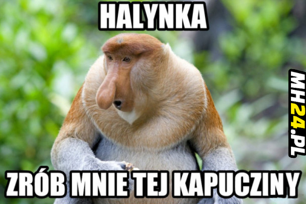 Halynka xD Obrazki   