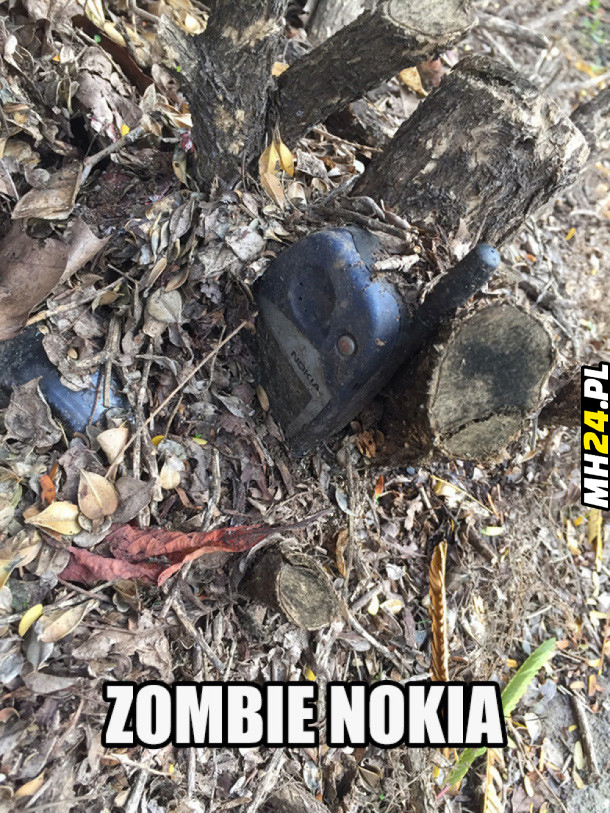 Zombie Nokia Obrazki   