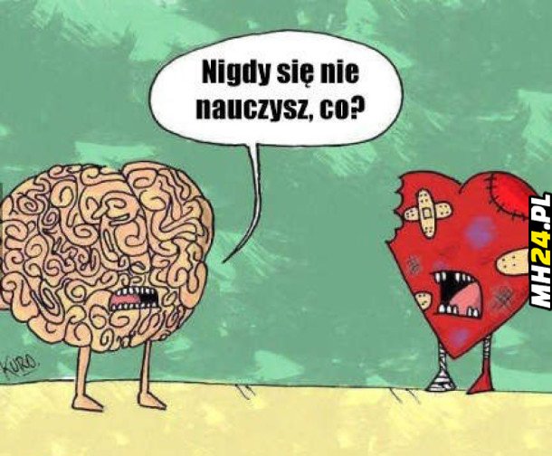 Mózg vs serce Obrazki   