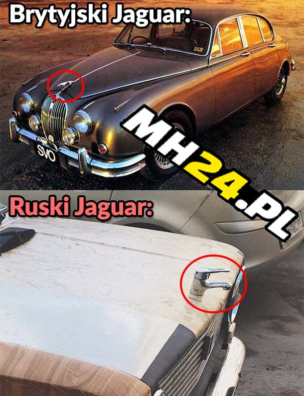 Brytyjski Jaguar vs Ruski Jaguar