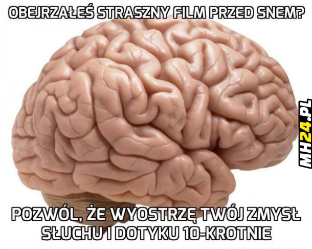 Mózg Obrazki   