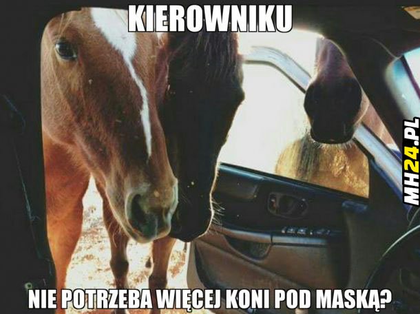Nowe konie pod maską xD Obrazki   