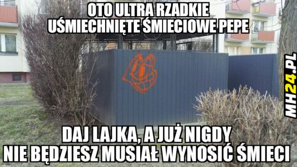 Ultra rzadkie śmieciowe Pepe Obrazki   