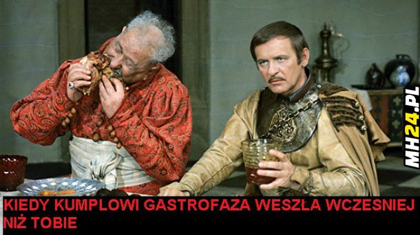 Gastrofaza Obrazki   