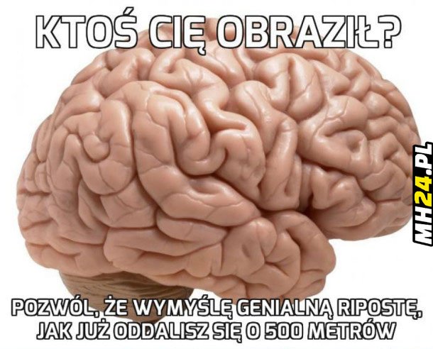 Logika mózgu….
