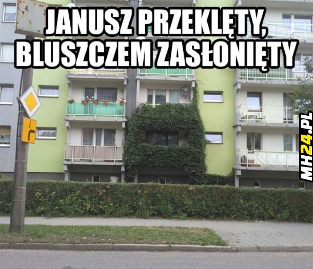 Janusz przeklęty Obrazki   