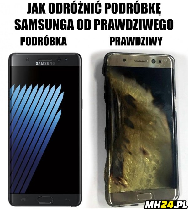 Samsungi xD Obrazki   