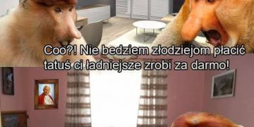 Remont mieszkania według Janusza Obrazki   