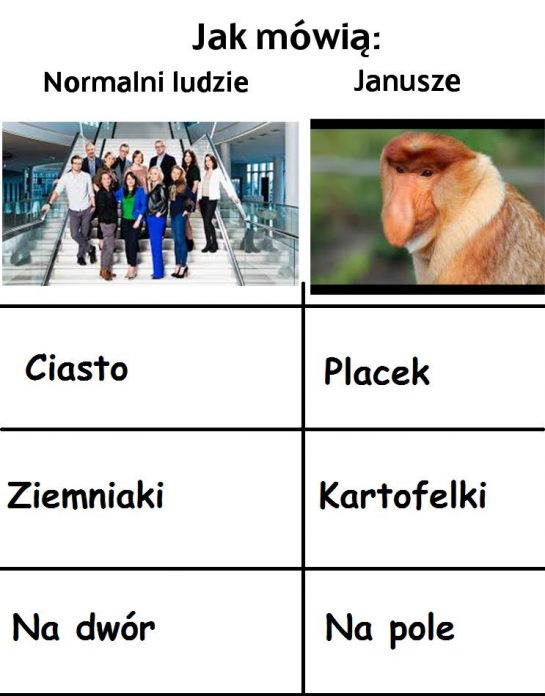 Januszowy słownik Obrazki   