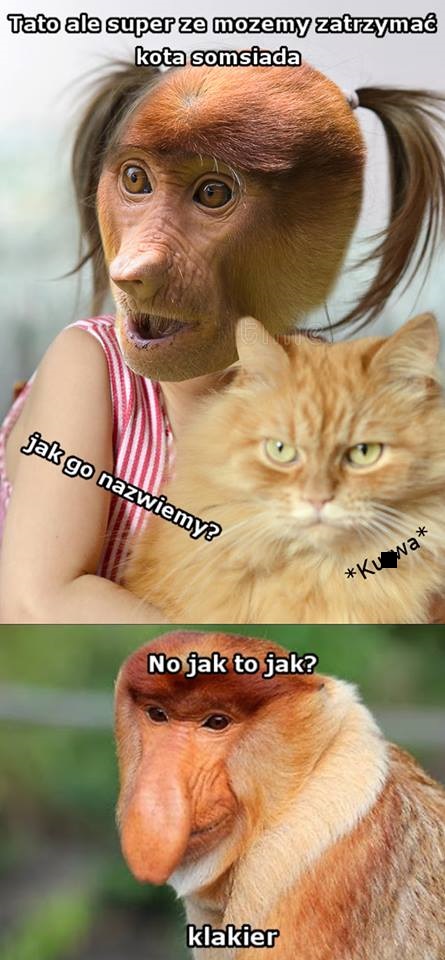 Dżesika i kot somsiada Obrazki   
