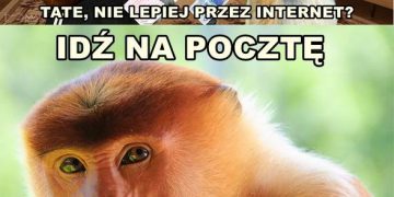 Janusz i przelew xD Obrazki   