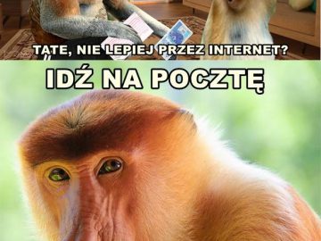 Janusz i przelew xD Obrazki   