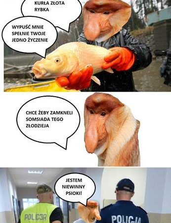 Janusz i złota rybka