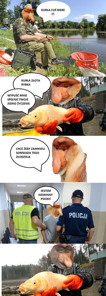Janusz i złota rybka Obrazki   