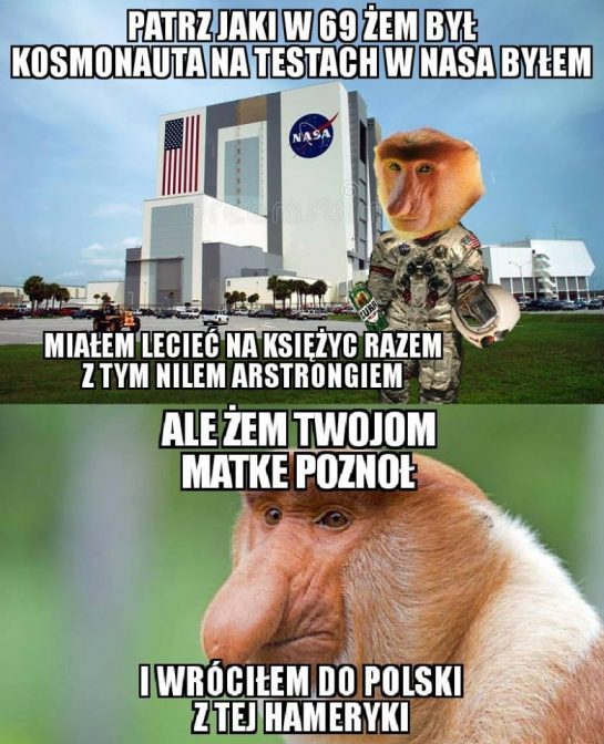 Janusz kosmonauta Obrazki   