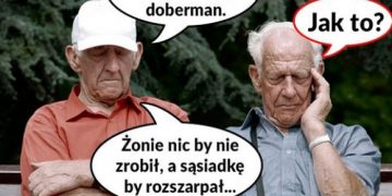 JAK DOBERMAN :D Obrazki   
